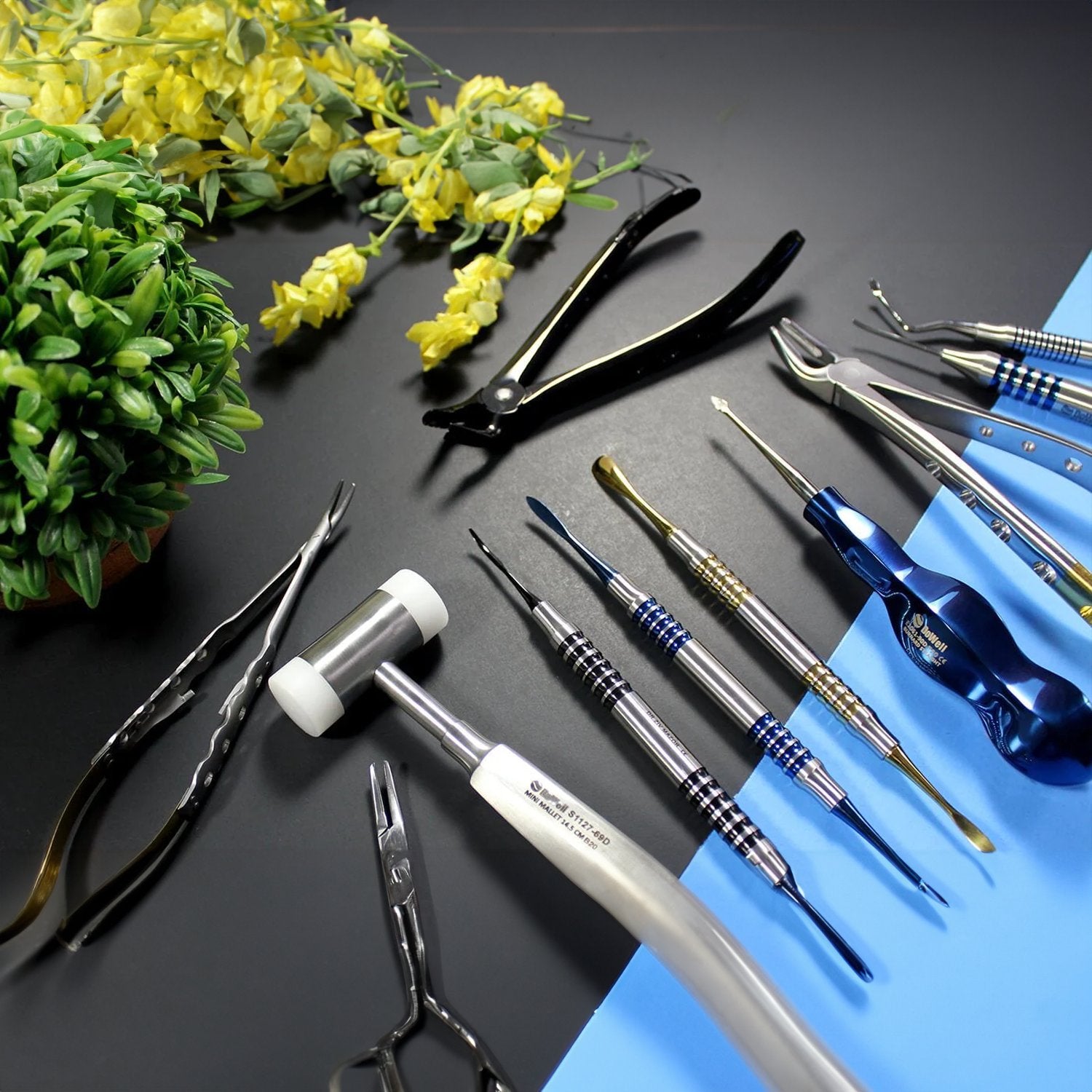 Dental Surgical Instruments